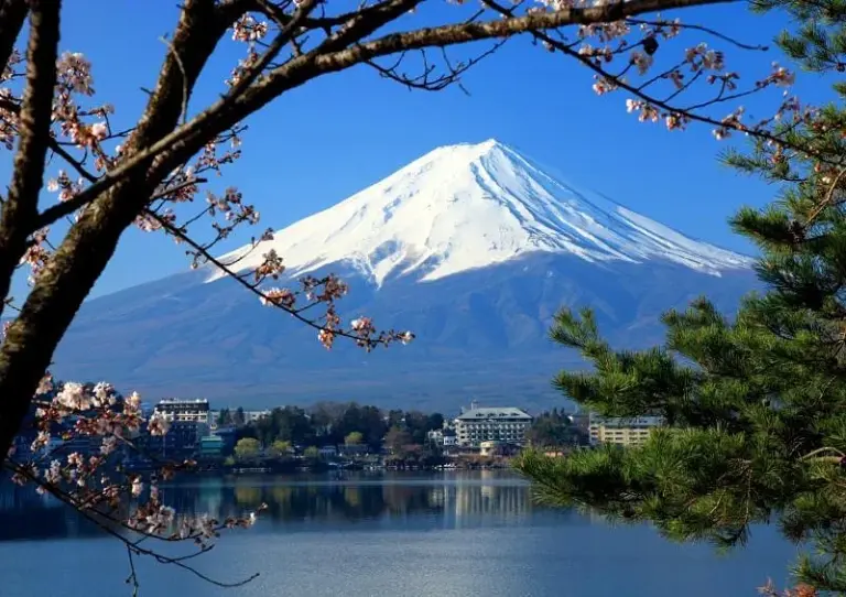 Estación 5 del monte Fuji