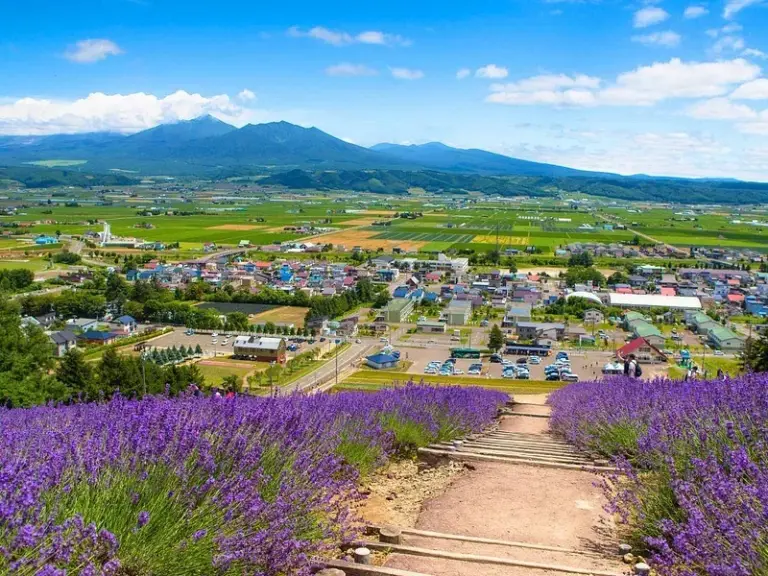 Granja de Lavanda Choei