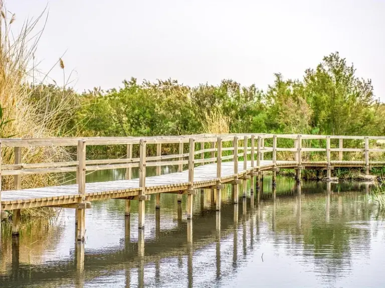 Reserva Natural de Humedales de Azraq