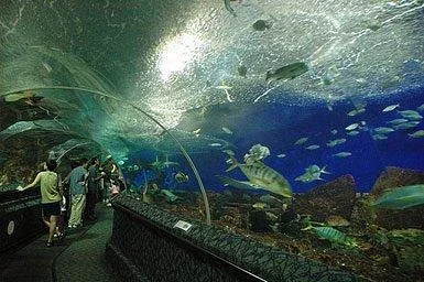 Mundo Subacuático de Langkawi