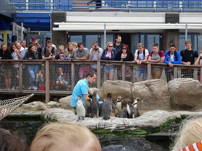 SEA LIFE® Scheveningen
