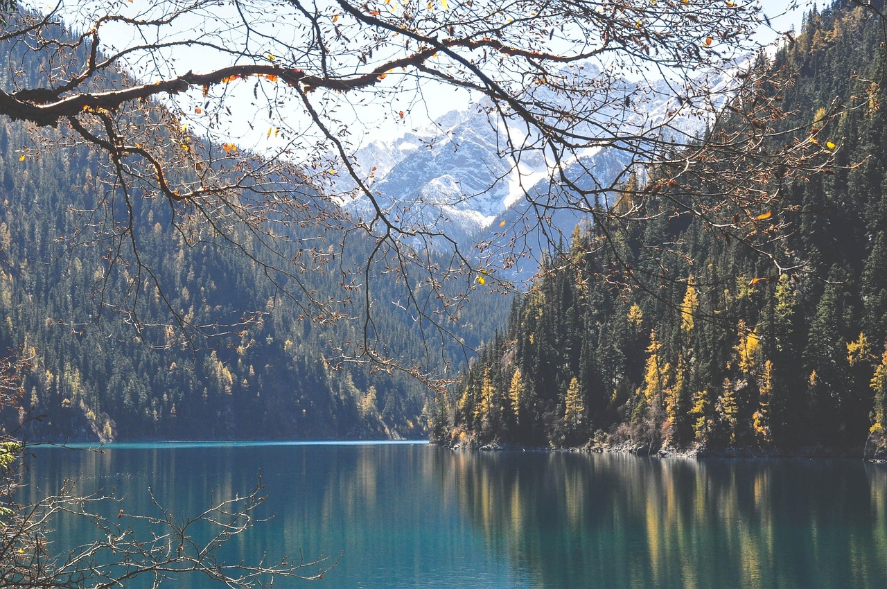 Vivid turquoise waters of Five Flower Lake shimmer with perfect reflections of coniferous forests and distant snow-draped peaks in Jiuzhaigou Valley Turquoise Five Flower Lake in Jiuzhaigou Valley with pine trees and snow-capped peaks reflected in crystal-clear water