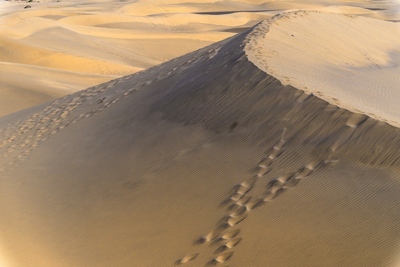 Lake McKenzie’s impossibly clear, turquoise waters nestled in powdery white sands and ancient rainforest — a jewel of K’gari, the world’s largest sand island Turquoise lake surrounded by white sand dunes and green forest on Fraser Island