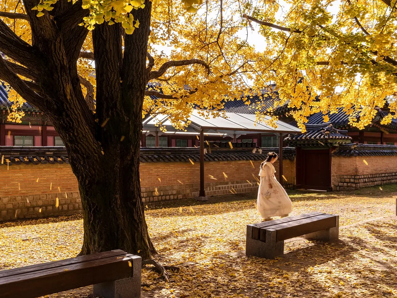 Iconic Gyeongbokgung Palace in Seoul during golden autumn — a must-visit place in Korea showcasing Joseon Dynasty grandeur and seasonal beauty Aerial view of Gyeongbokgung Palace in Seoul with traditional hanbok-clad visitors and autumn foliage