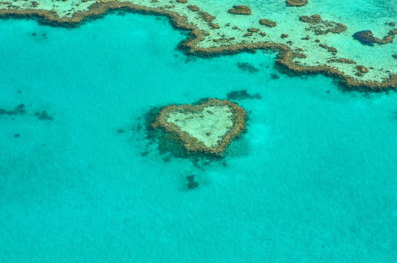 A breathtaking aerial perspective of healthy coral gardens and vivid blue waters in the Great Barrier Reef — a living masterpiece off Australia’s northeast coast Aerial view of vibrant coral formations and turquoise water in the Great Barrier Reef