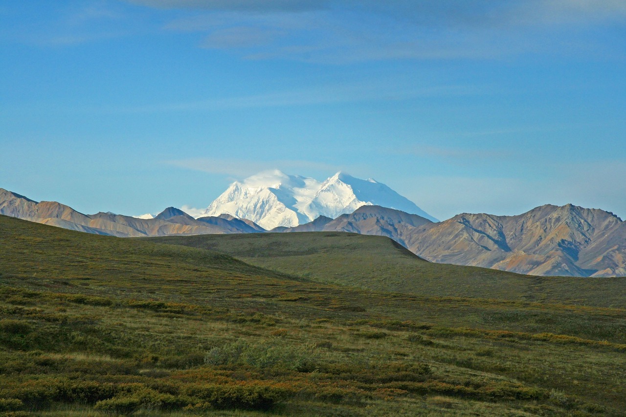 Majestic Denali pierces the cloudless sky above windswept tundra — the wild, northern crown of must-visit places in the USA Snow-capped Denali mountain rising above golden tundra with small herd of caribou