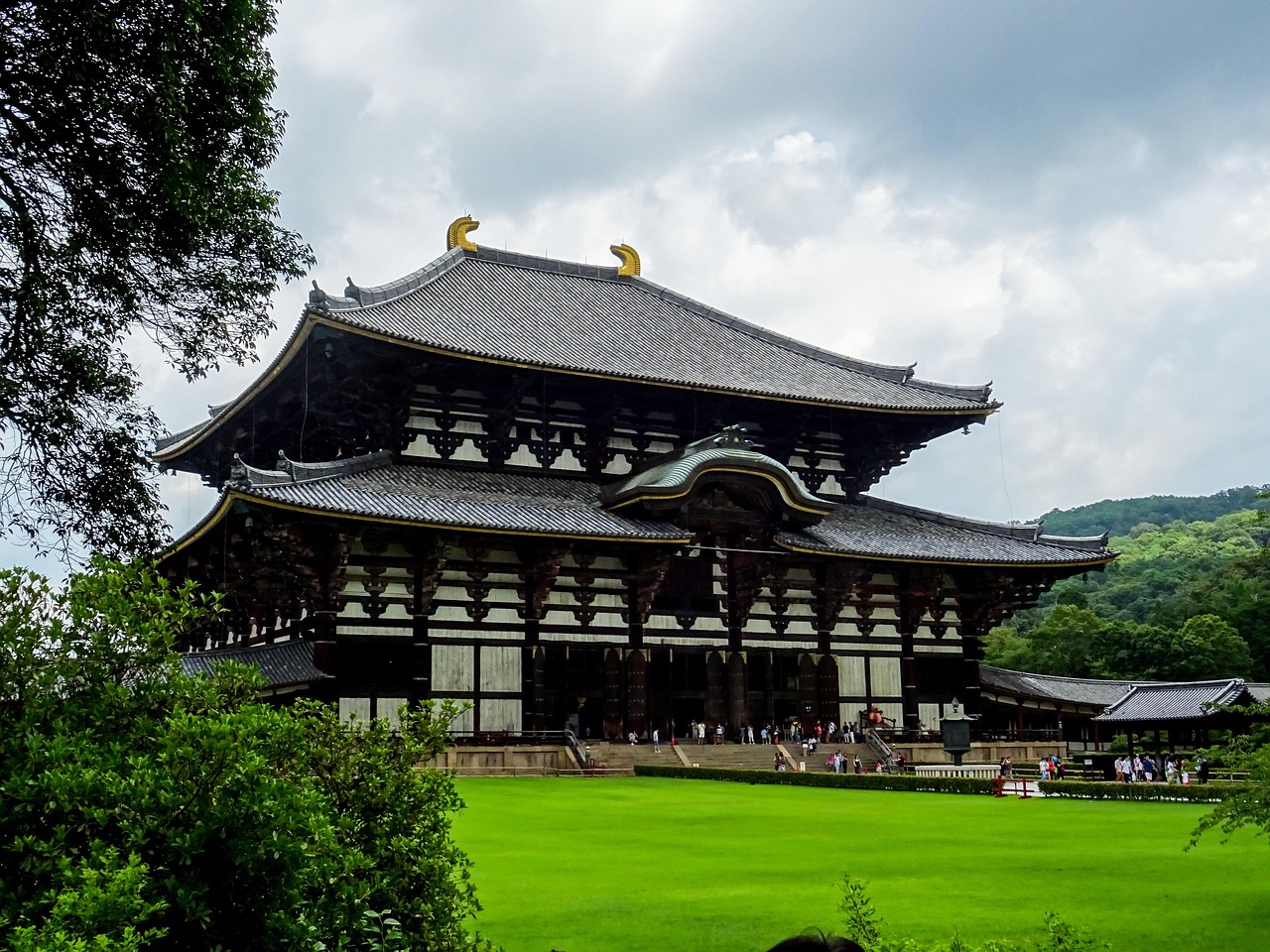 A gentle sika deer bowing in Nara Park — a heartwarming, culturally rich moment among the most beloved places to visit in Japan Sika deer bowing to a visitor holding senbei crackers in Nara Park near Todai-ji Temple