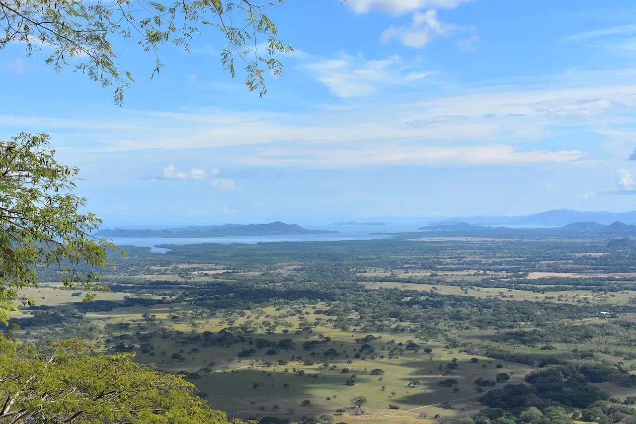 Géiser Old Faithful en plena erupción en el Parque Nacional de Yellowstone, con turistas observando desde una plataforma de madera Géiser Old Faithful expulsando vapor y agua contra un cielo azul claro