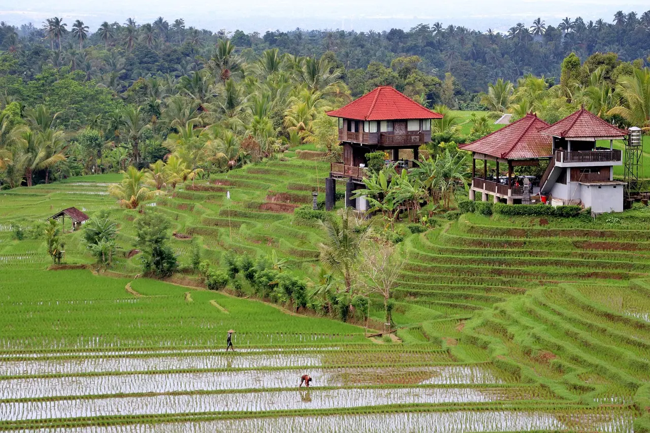 Retiro de yoga en medio de arrozales en Bali