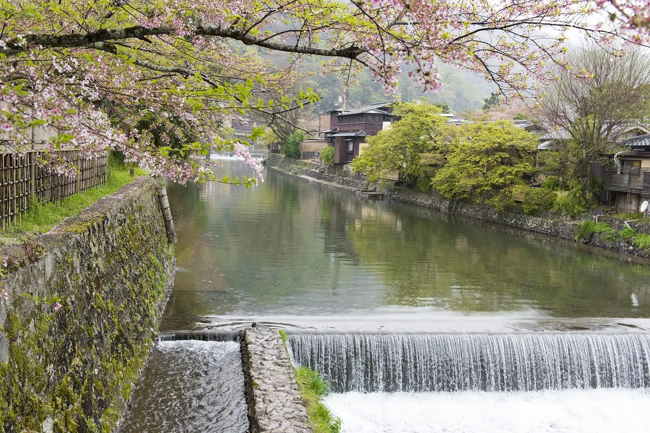 Serene cherry blossom moment in a historic Kyoto garden — evoking the poetic romance found among the finest honeymoon destinations in Asia Traditional wooden bridge draped in pink cherry blossoms with a couple seated quietly on a bench beside a moss garden