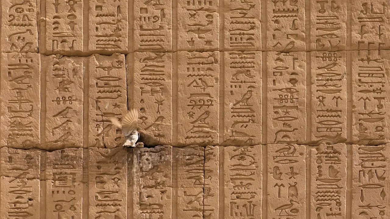 A knowledgeable local guide shares stories beside ancient inscriptions — illustrating how ethical engagement deepens meaning when visiting ancient landmarks. Local guide pointing to hieroglyphs on a temple wall in Luxor, Egypt