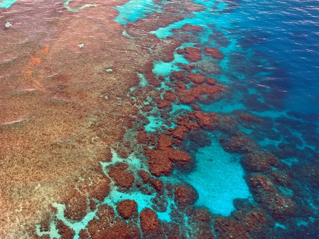 Vista aérea espectacular de la Gran Barrera de Coral en Queensland, Australia Vista aérea de la Gran Barrera de Coral con aguas turquesas