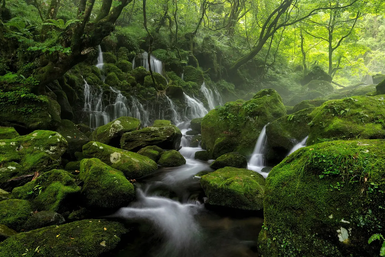 Cascada natural en el Parque Nacional de Peneda-Gerês, ideal para senderismo y relajación Cascada en medio del bosque en el Parque Nacional de Peneda-Gerês