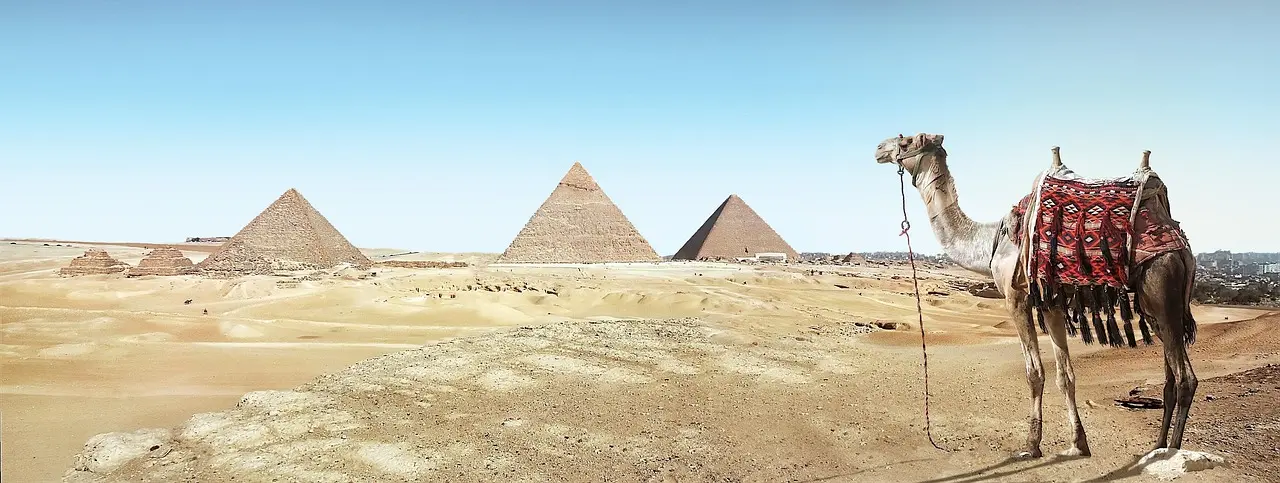 Pirámides de Giza bajo cielo azul con camellos en primer plano