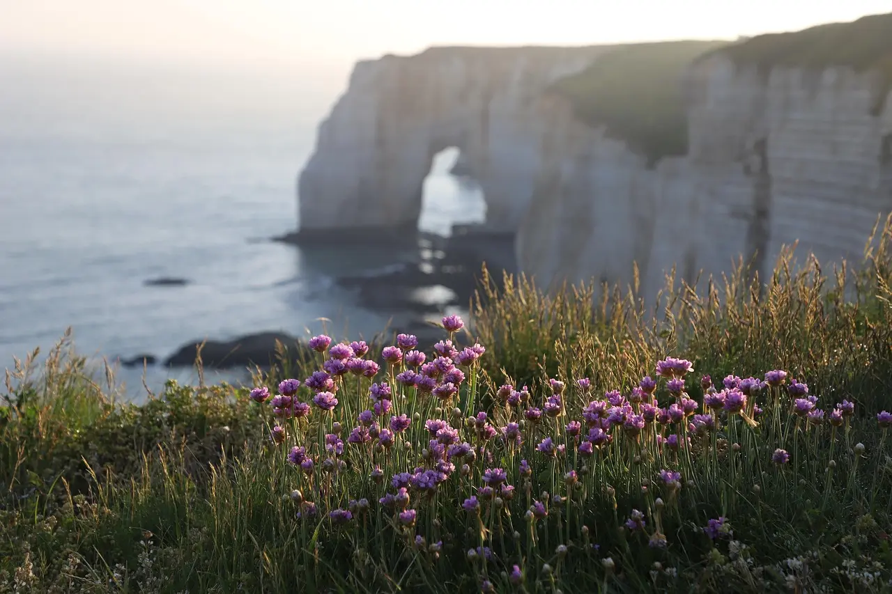 Famoso arco natural y acantilados de tiza en Étretat, costa norte de Francia Acantilados blancos y arco natural en Étretat
