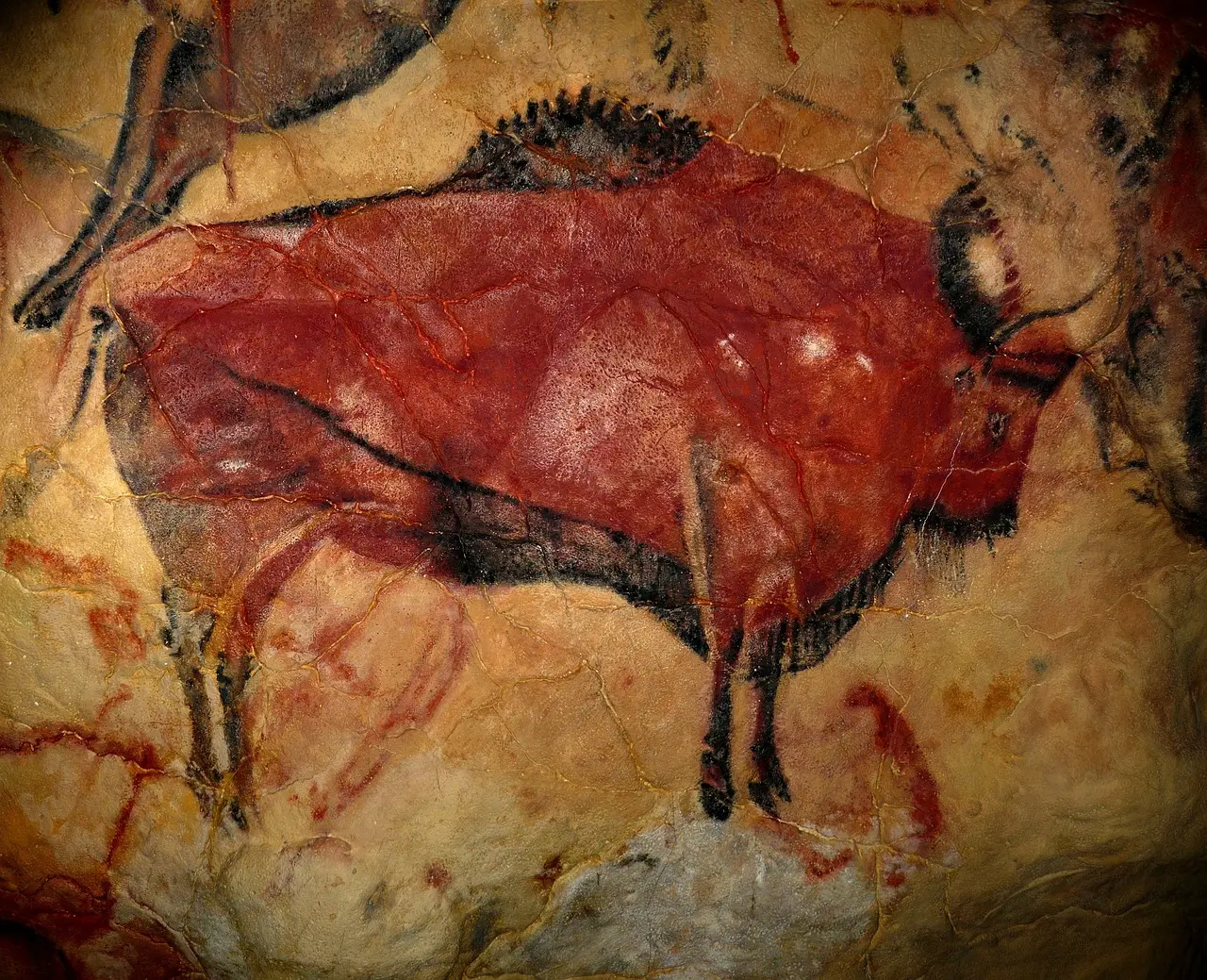 Réplica exacta de las famosas pinturas rupestres de bisontes en la cueva de Altamira, Cantabria Réplica de las pinturas rupestres de Altamira