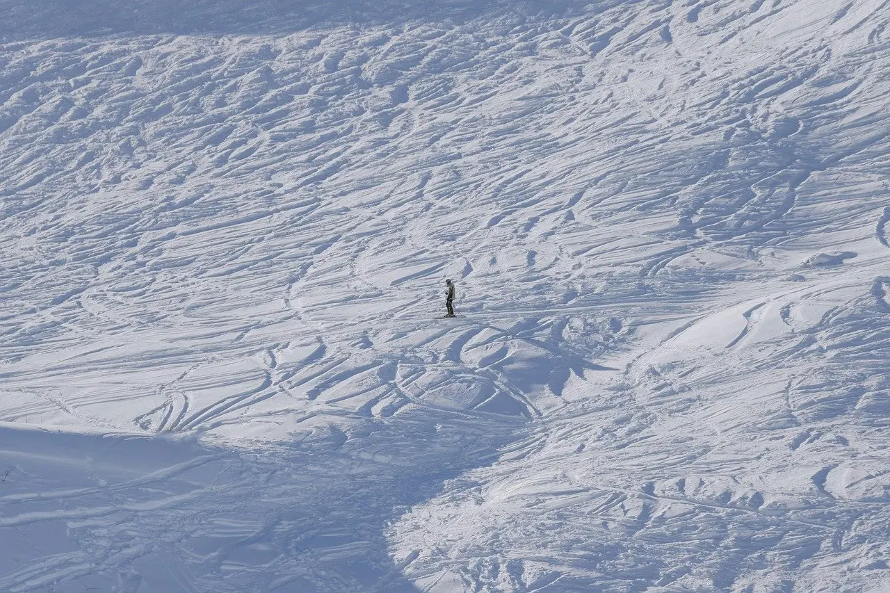 Skier enjoying untouched powder on a forested slope in Niseko — a premier adventure and outdoor destination blending world-class snow, cultural immersion, and sustainable mountain tourism Skier carving fresh powder on tree-lined slope under snowy pine forest in Japanese mountains